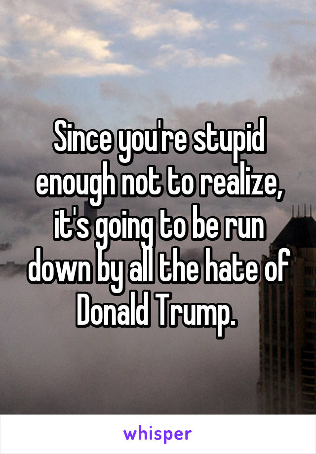 Since you're stupid enough not to realize, it's going to be run down by all the hate of Donald Trump. 