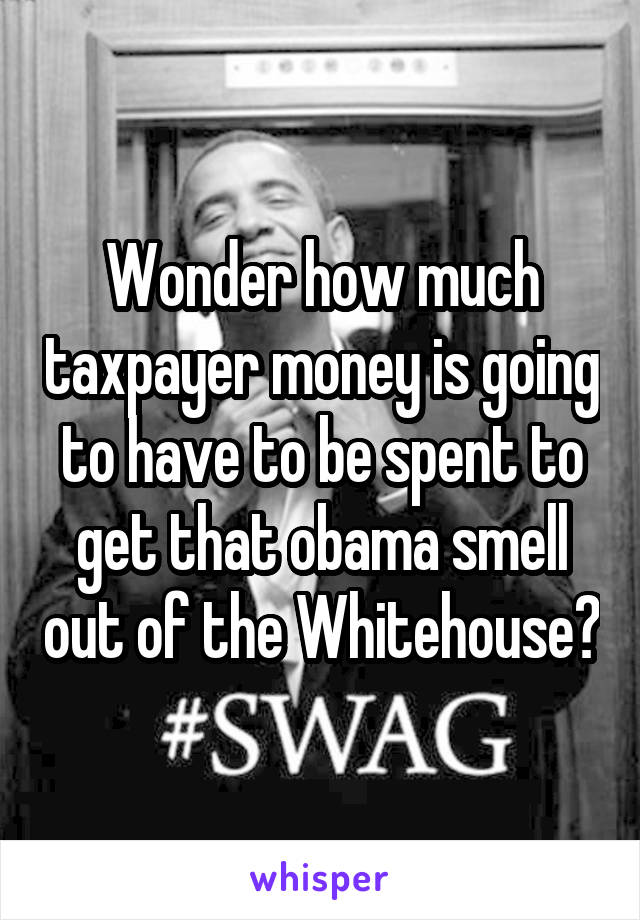 Wonder how much taxpayer money is going to have to be spent to get that obama smell out of the Whitehouse?