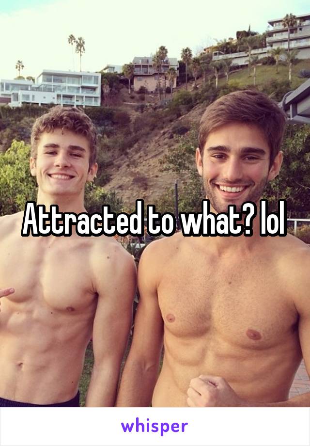 Attracted to what? lol 