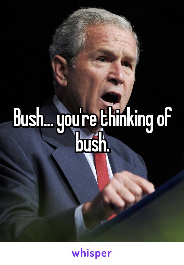 Bush... you're thinking of bush.