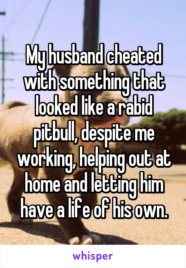 My husband cheated with something that looked like a rabid pitbull, despite me working, helping out at home and letting him have a life of his own.