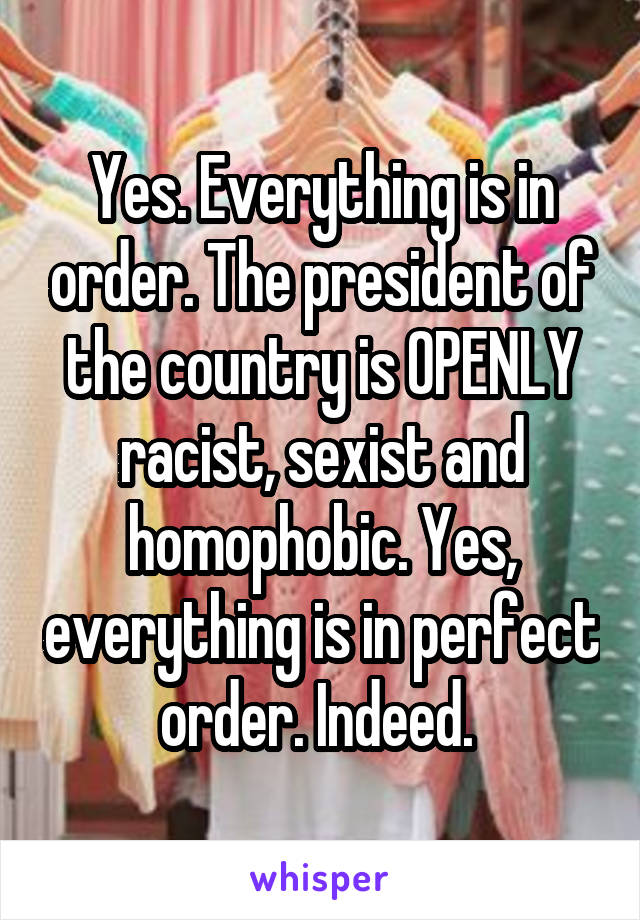 Yes. Everything is in order. The president of the country is OPENLY racist, sexist and homophobic. Yes, everything is in perfect order. Indeed. 