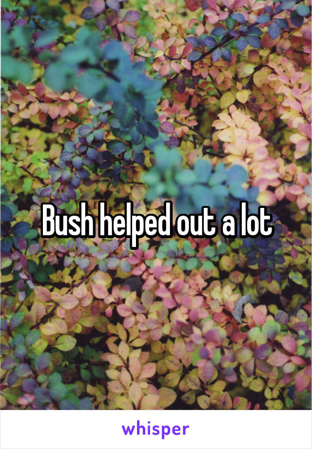 Bush helped out a lot