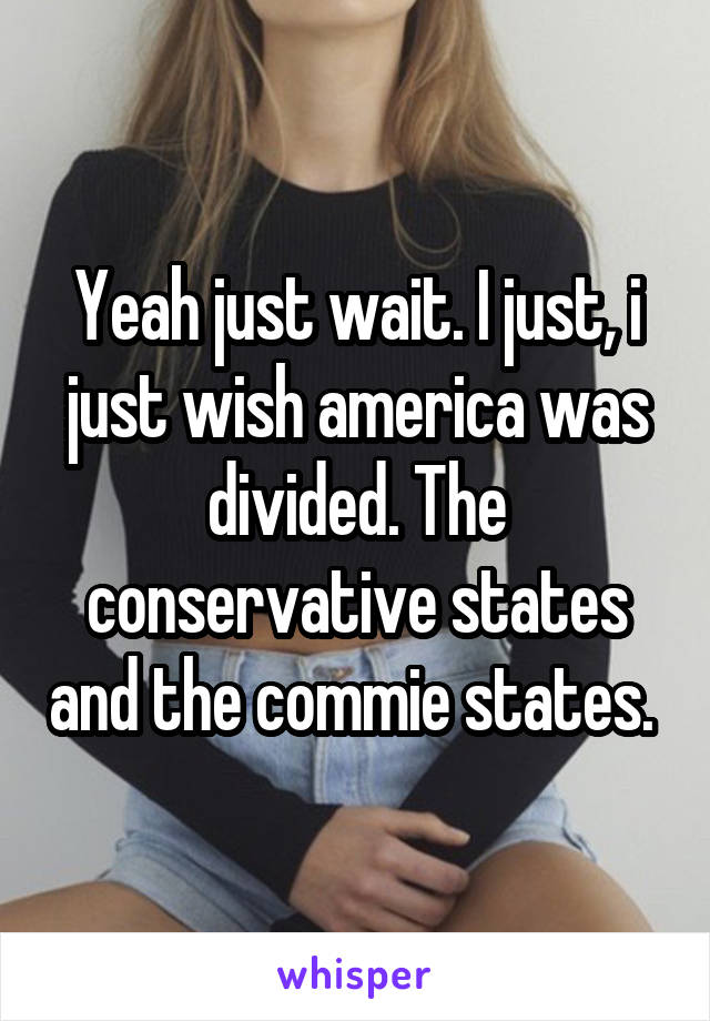 Yeah just wait. I just, i just wish america was divided. The conservative states and the commie states. 