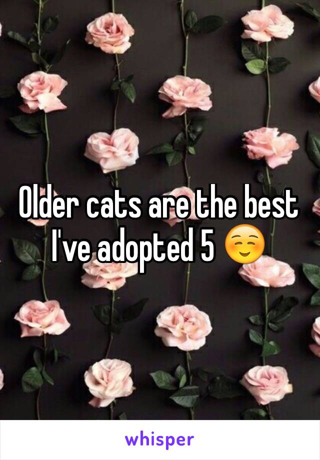 Older cats are the best I've adopted 5 ☺️