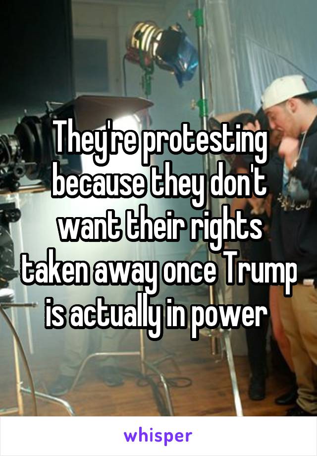 They're protesting because they don't want their rights taken away once Trump is actually in power 