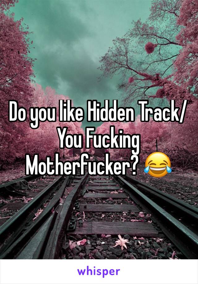Do you like Hidden Track/You Fucking Motherfucker? 😂