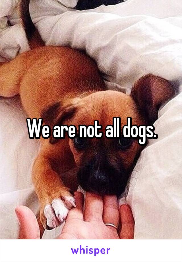 We are not all dogs.