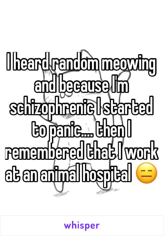 I heard random meowing and because I'm schizophrenic I started to panic.... then I remembered that I work at an animal hospital 😑