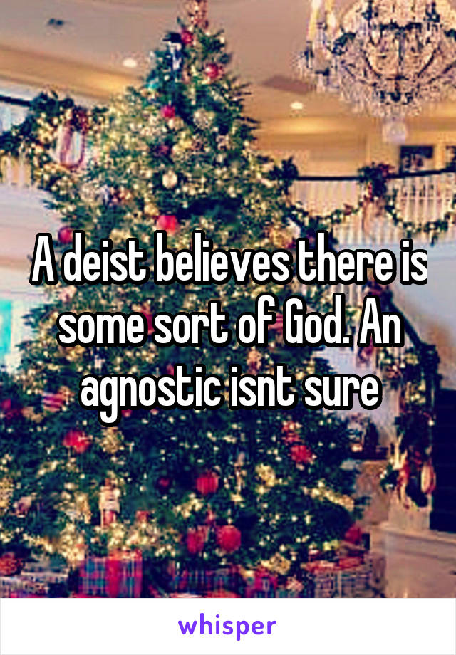 A deist believes there is some sort of God. An agnostic isnt sure