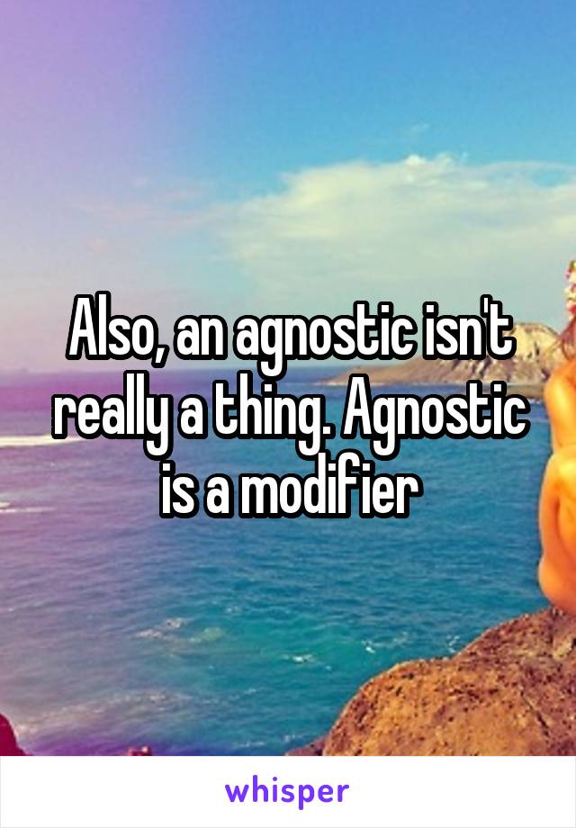 Also, an agnostic isn't really a thing. Agnostic is a modifier