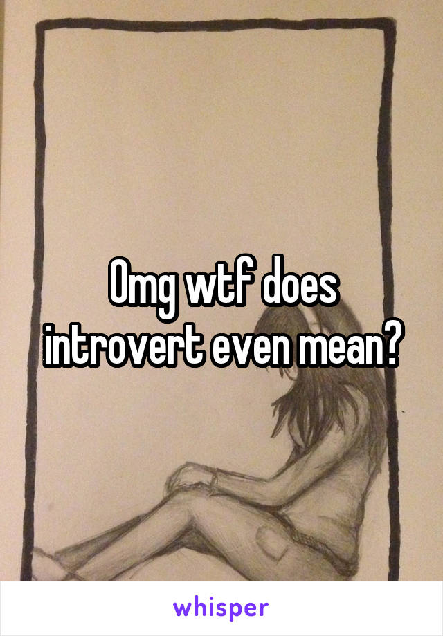 Omg wtf does introvert even mean?