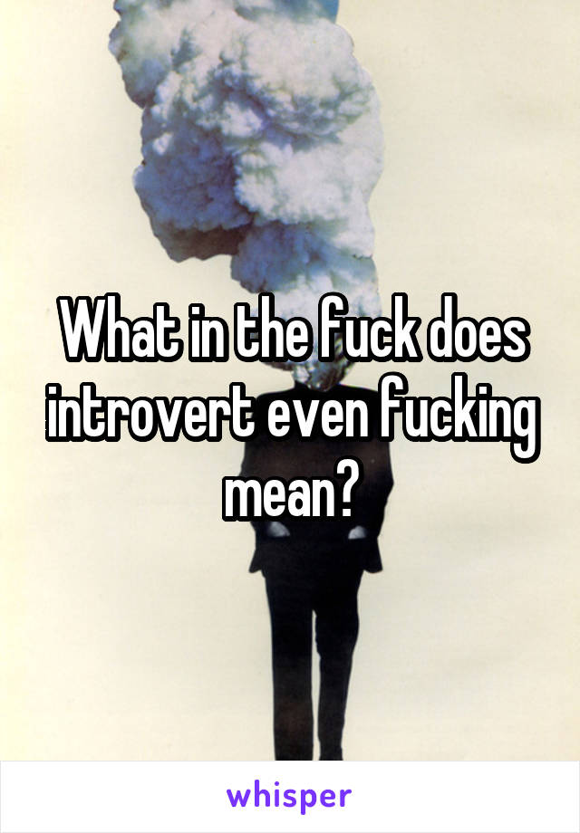 What in the fuck does introvert even fucking mean?