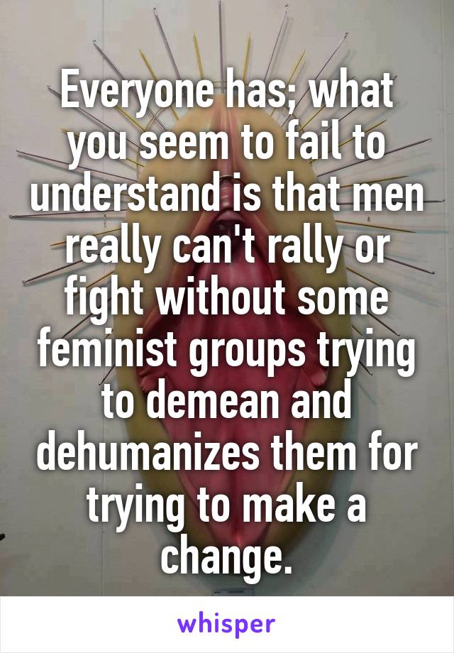 Everyone has; what you seem to fail to understand is that men really can't rally or fight without some feminist groups trying to demean and dehumanizes them for trying to make a change.