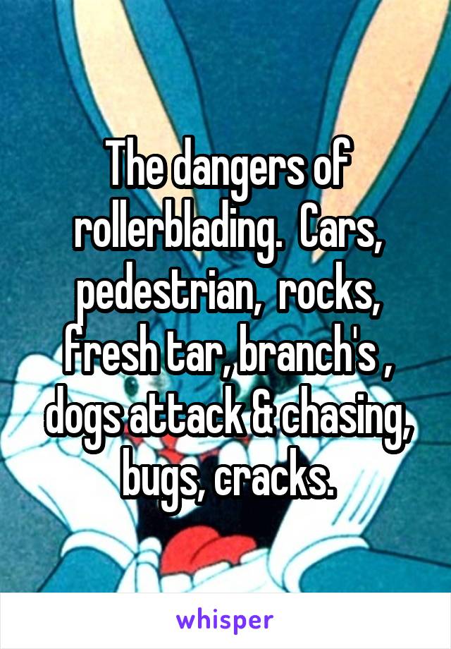 The dangers of rollerblading.  Cars, pedestrian,  rocks, fresh tar, branch's , dogs attack & chasing, bugs, cracks.