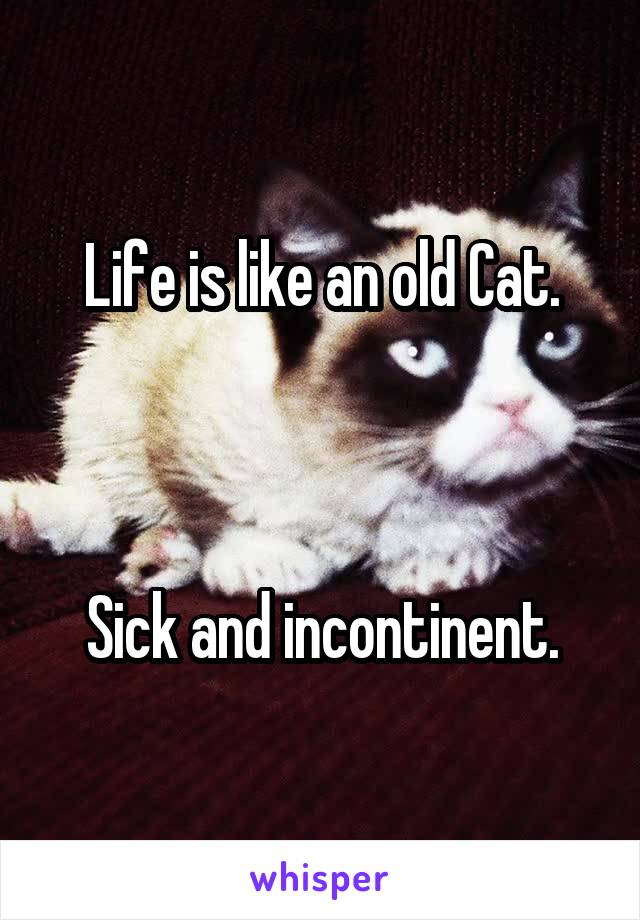 Life is like an old Cat.



Sick and incontinent.