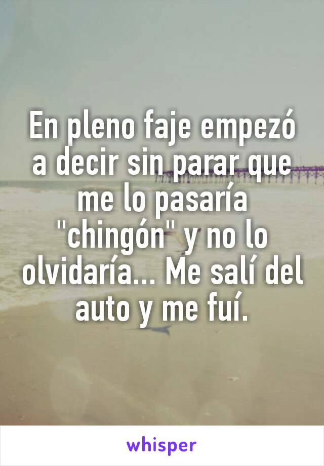 En pleno faje empezó a decir sin parar que me lo pasaría "chingón" y no lo olvidaría... Me salí del auto y me fuí.