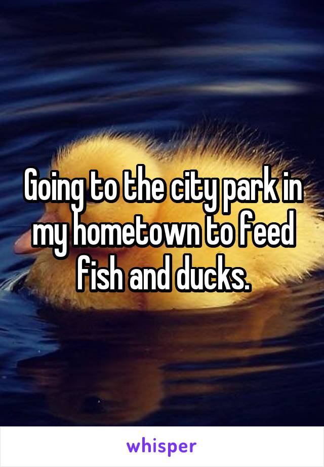 Going to the city park in my hometown to feed fish and ducks.