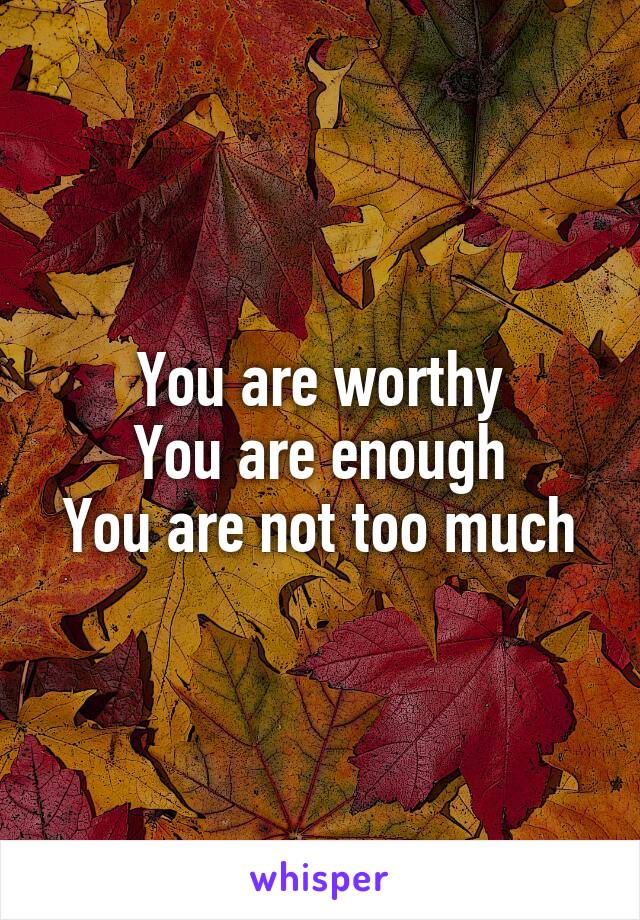 You are worthy
You are enough
You are not too much