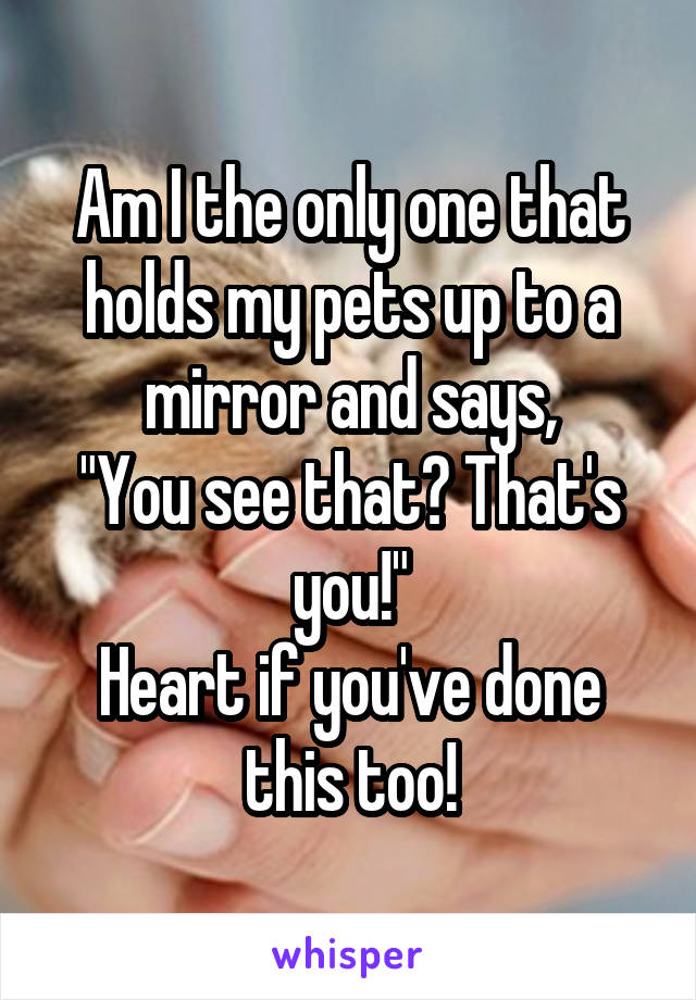 Am I the only one that holds my pets up to a mirror and says,
"You see that? That's you!"
Heart if you've done this too!