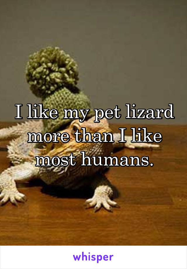 I like my pet lizard more than I like most humans.