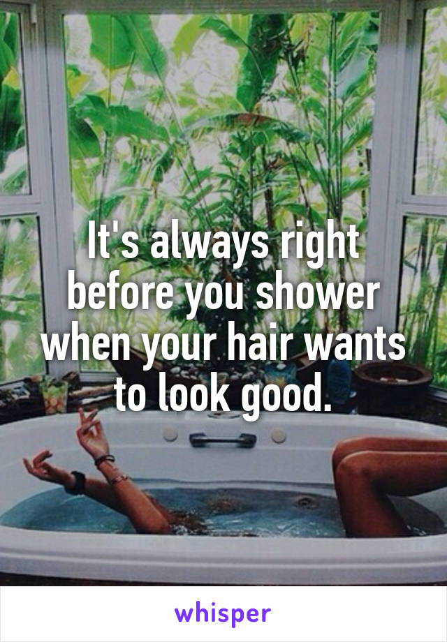 It's always right before you shower when your hair wants to look good.