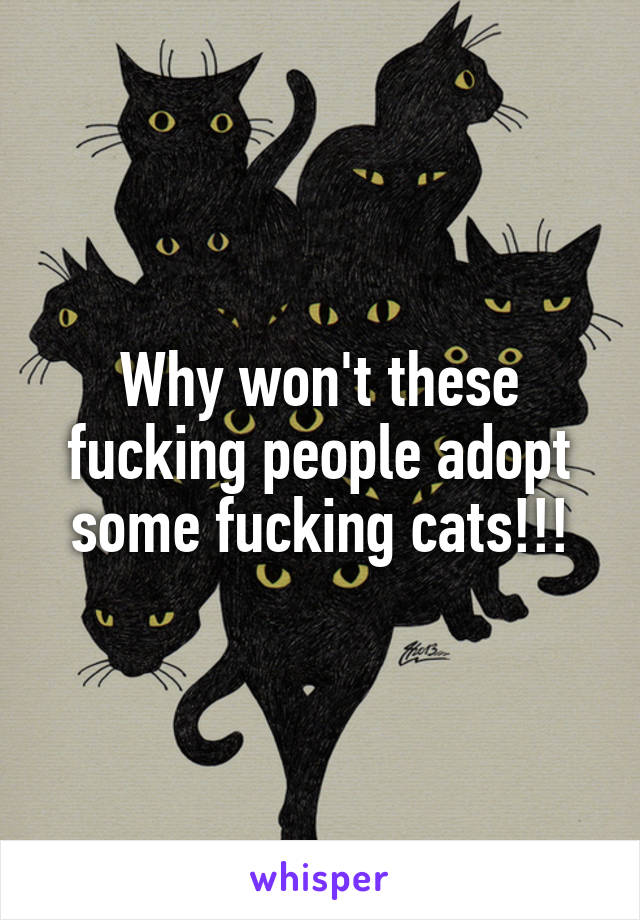 Why won't these fucking people adopt some fucking cats!!!