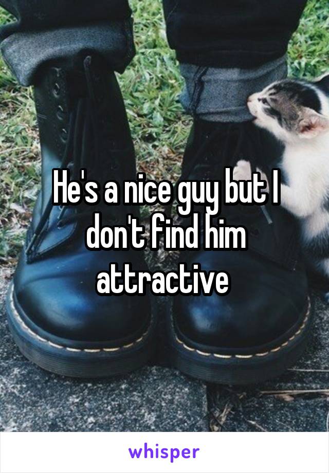 He's a nice guy but I don't find him attractive 