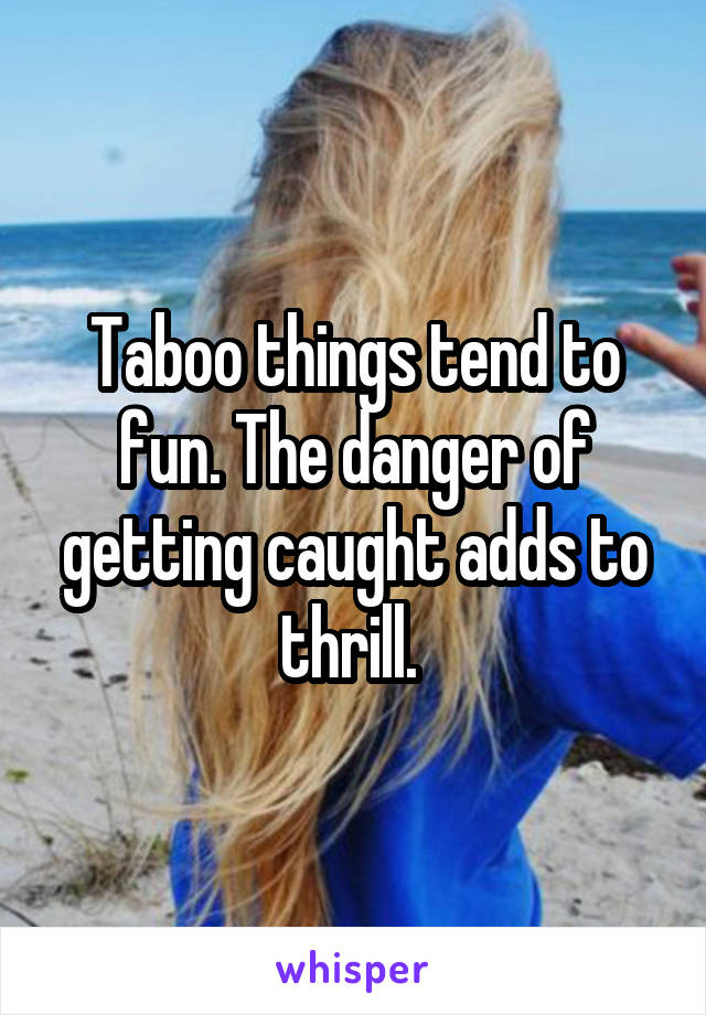 Taboo things tend to fun. The danger of getting caught adds to thrill. 