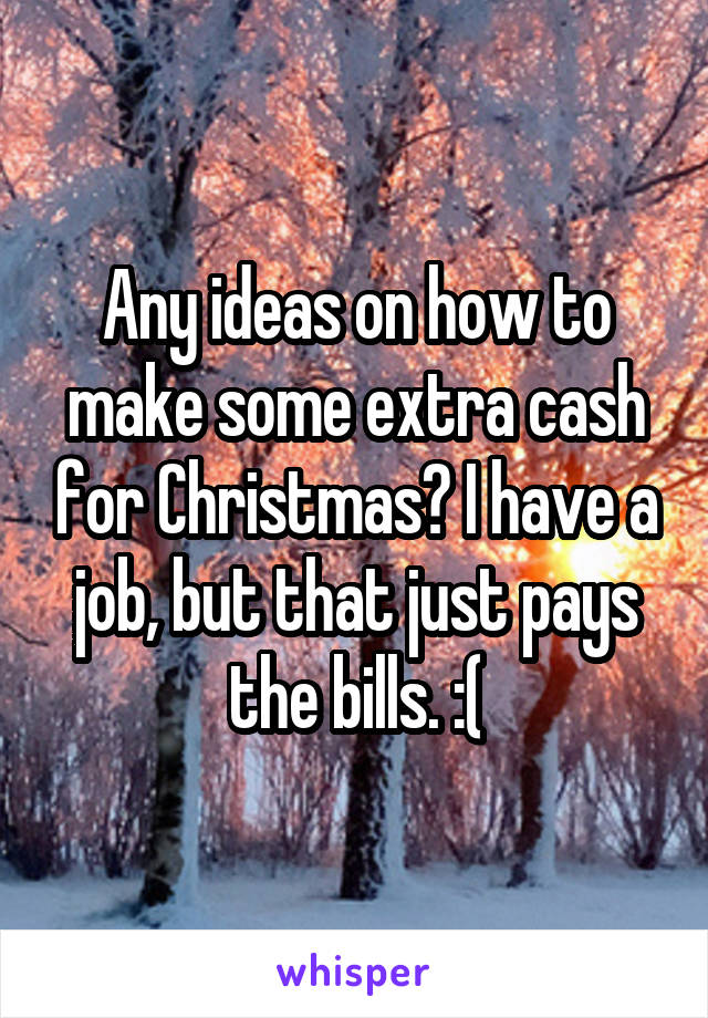 Any ideas on how to make some extra cash for Christmas? I have a job, but that just pays the bills. :(