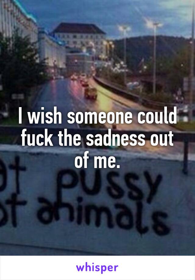 I wish someone could fuck the sadness out of me.