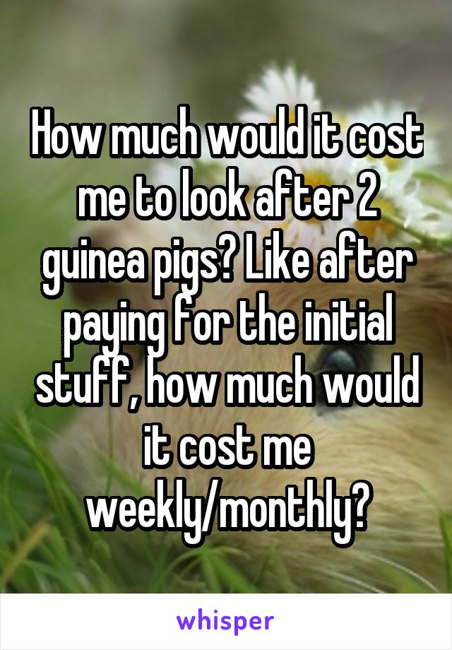 How much would it cost me to look after 2 guinea pigs? Like after paying for the initial stuff, how much would it cost me weekly/monthly?