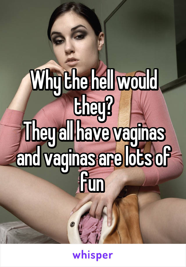 Why the hell would they?
They all have vaginas and vaginas are lots of fun 