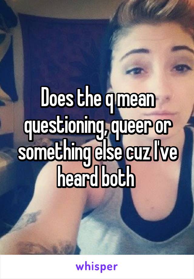 Does the q mean questioning, queer or something else cuz I've heard both 