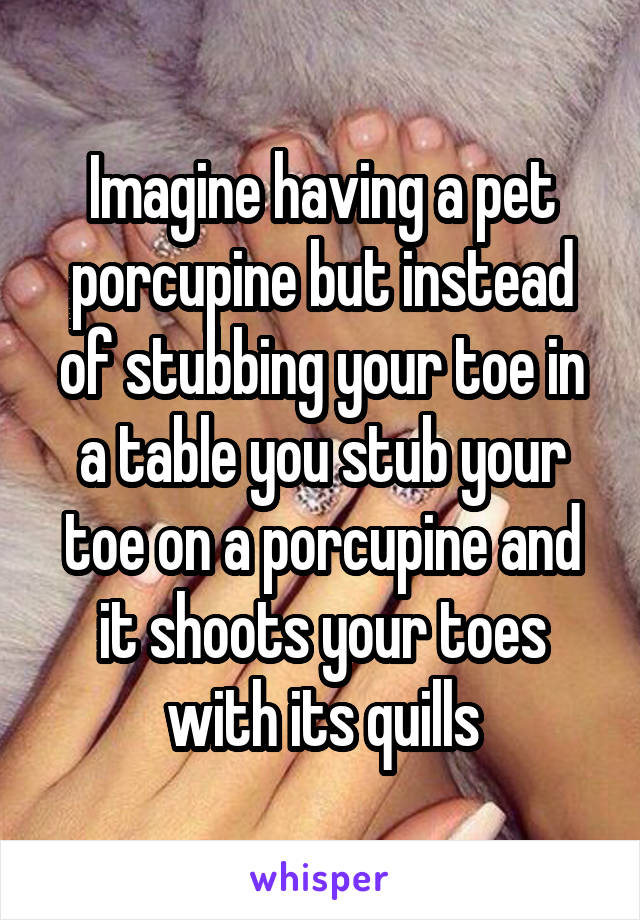 Imagine having a pet porcupine but instead of stubbing your toe in a table you stub your toe on a porcupine and it shoots your toes with its quills