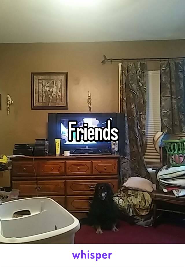 Friends