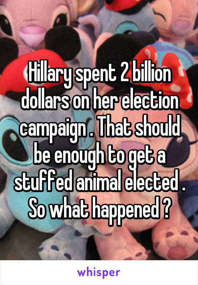 Hillary spent 2 billion dollars on her election campaign . That should be enough to get a stuffed animal elected . So what happened ?