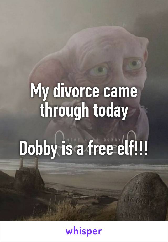 My divorce came through today

Dobby is a free elf!!!