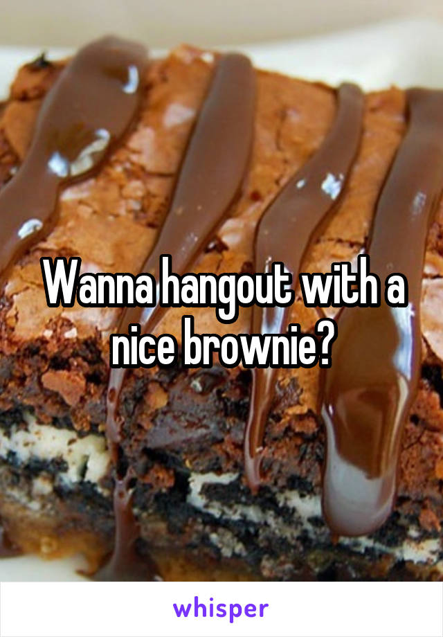 Wanna hangout with a nice brownie?