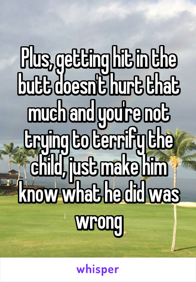 Plus, getting hit in the butt doesn't hurt that much and you're not trying to terrify the child, just make him know what he did was wrong