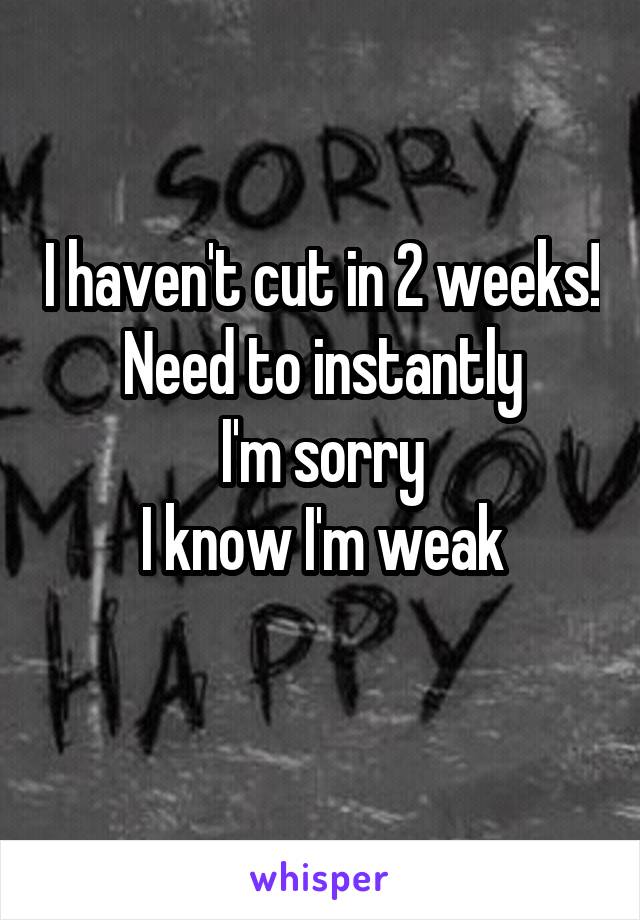 I haven't cut in 2 weeks! Need to instantly
I'm sorry
I know I'm weak
