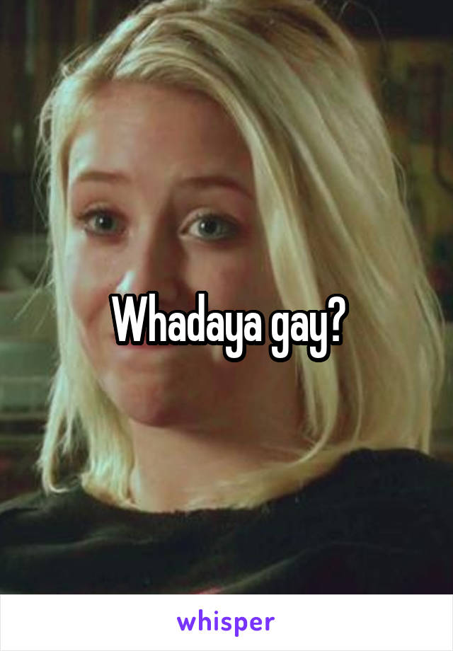 Whadaya gay?