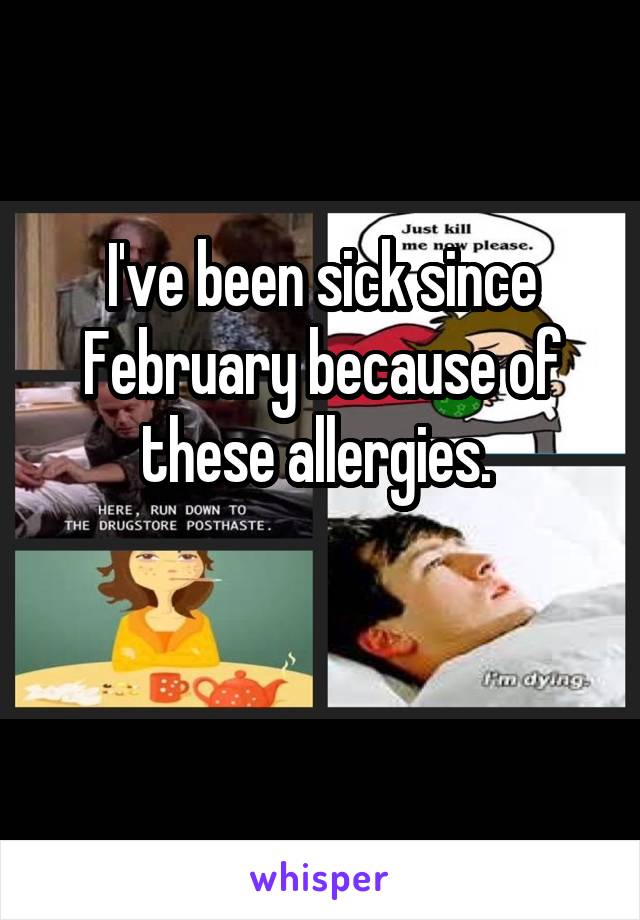 I've been sick since February because of these allergies. 

