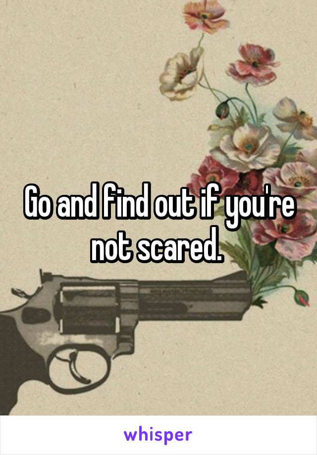 Go and find out if you're not scared. 