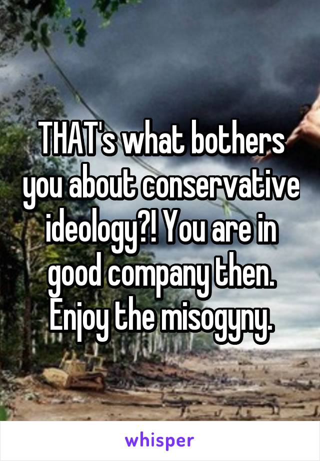 THAT's what bothers you about conservative ideology?! You are in good company then. Enjoy the misogyny.