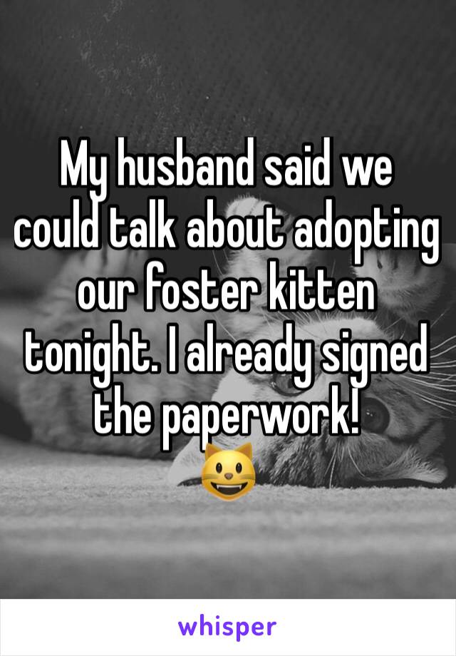 My husband said we could talk about adopting our foster kitten tonight. I already signed the paperwork! 
😺