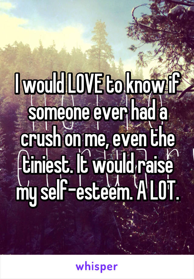 I would LOVE to know if someone ever had a crush on me, even the tiniest. It would raise my self-esteem. A LOT.