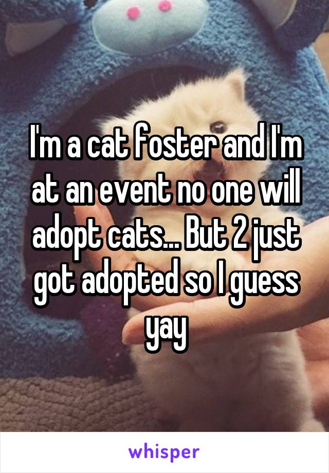 I'm a cat foster and I'm at an event no one will adopt cats... But 2 just got adopted so I guess yay