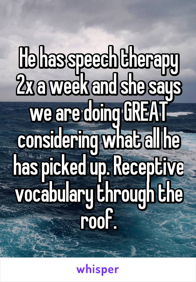 He has speech therapy 2x a week and she says we are doing GREAT considering what all he has picked up. Receptive vocabulary through the roof.