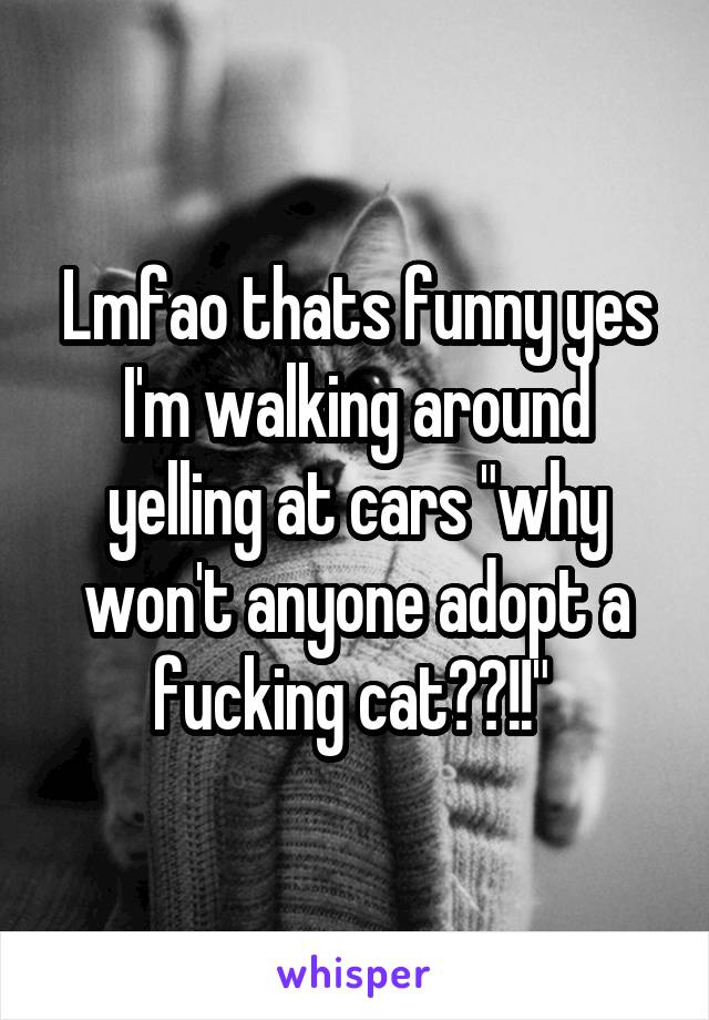 Lmfao thats funny yes I'm walking around yelling at cars "why won't anyone adopt a fucking cat??!!" 